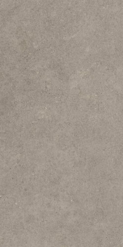 Керамогранит Forte dei Marmi Rock Lunar Grey 80x160