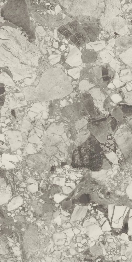 Forte Dei Marmi Ceppo Apuano Pearl Mat 80×160